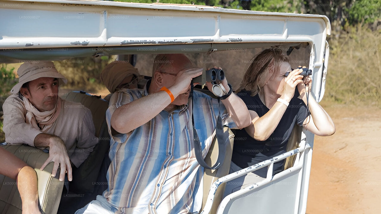 Private Tour von Weligama nach Ella mit Yala-Safari