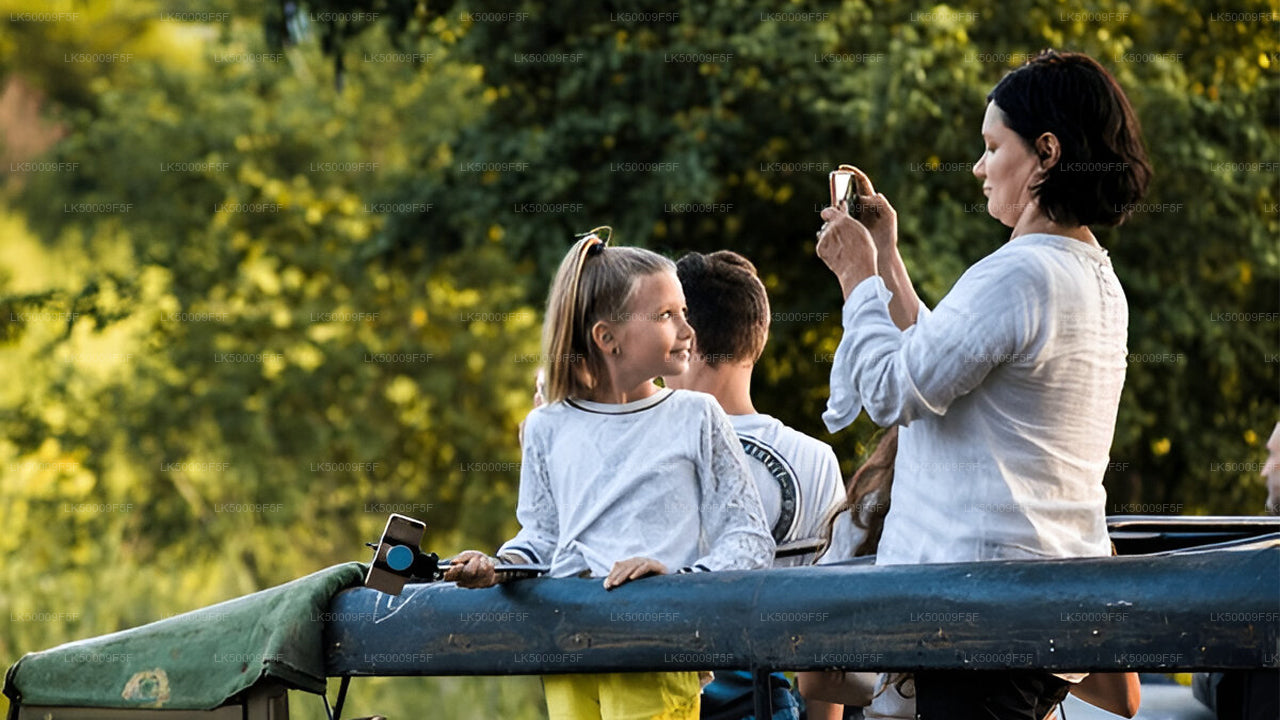 Private Tour von Ella nach Mirissa mit Yala-Safari