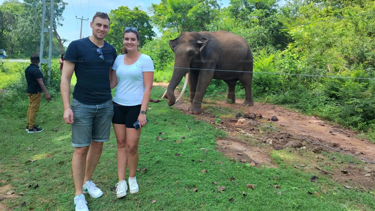 Private Tour von Nuwara Eliya nach Tangalle mit Udawalawe Safari