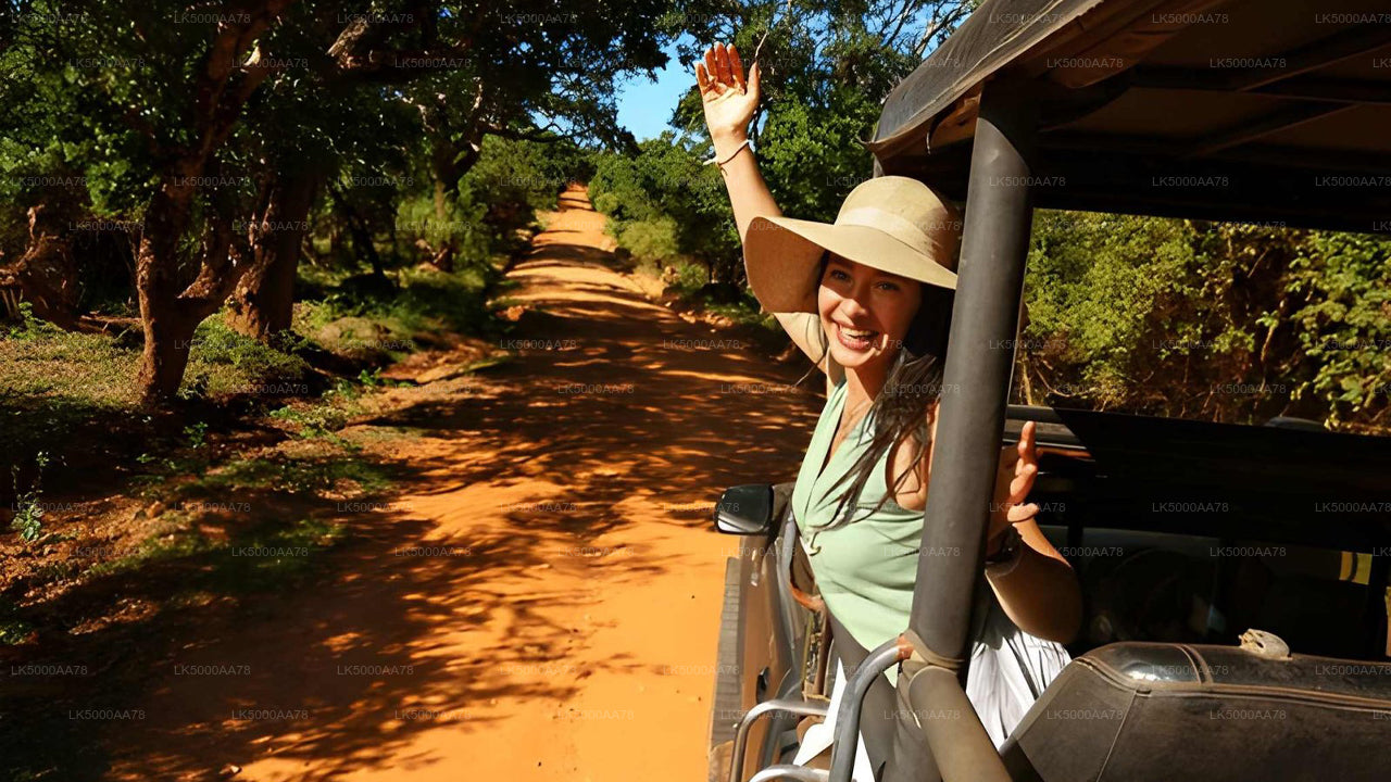 Private Safari im Wilpattu-Nationalpark