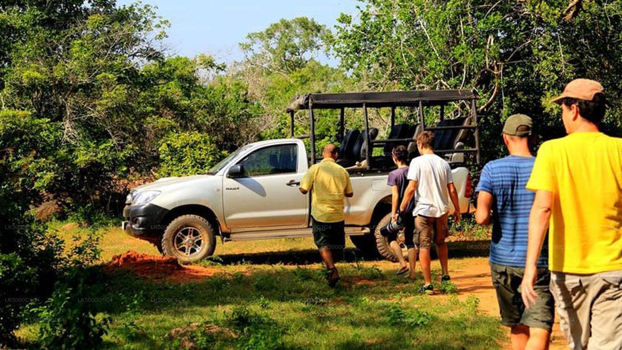 Private Tour von Ella nach Hiriketiya mit Udawalawe-Safari