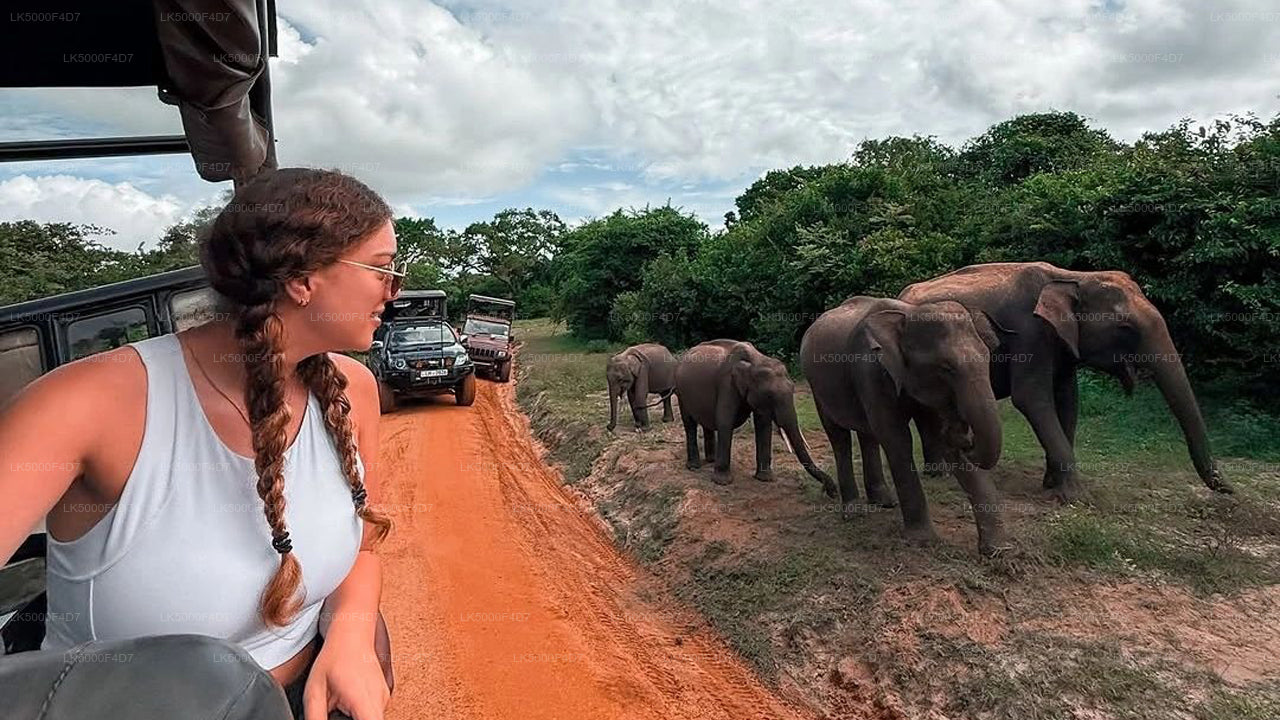 Private Tour von Ella nach Hiriketiya mit Yala-Safari