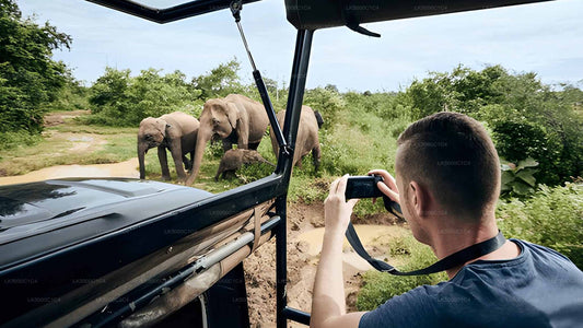 Private Tour von Ella nach Hiriketiya mit Udawalawe Safari