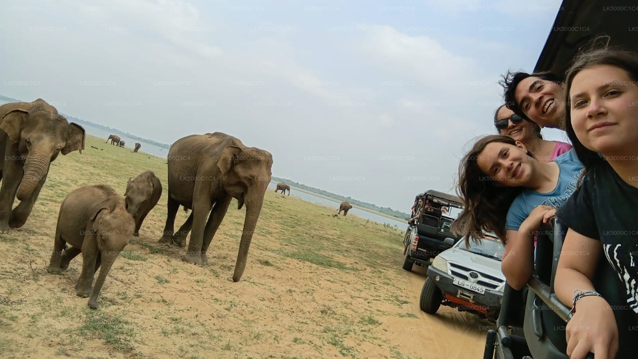 Private Tour von Ella nach Hiriketiya mit Udawalawe Safari