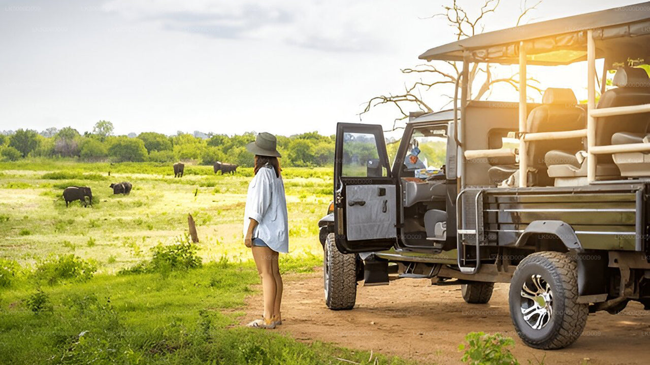 Private Tour von Galle nach Ella mit Udawalawe Safari