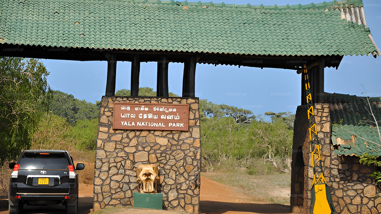 Private Tour von Ella nach Galle mit Yala-Safari