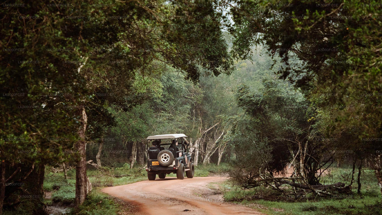 Wilpattu-Nationalpark-Safari ab Kandy