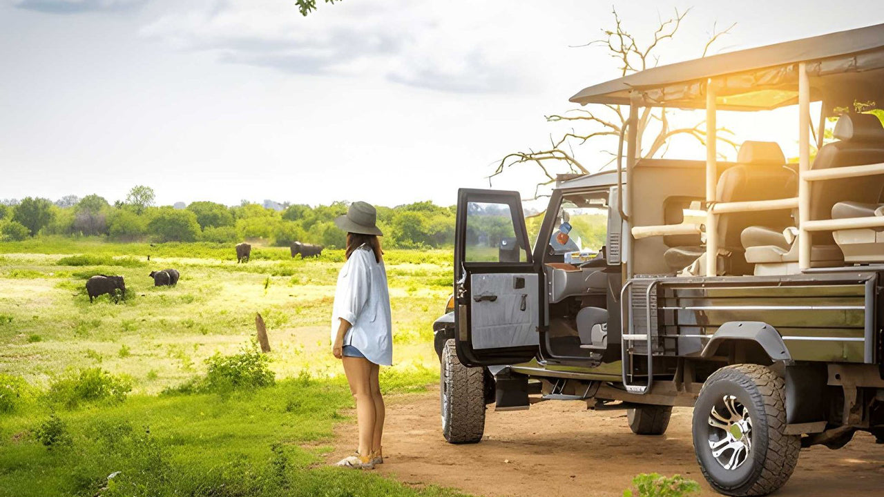 Private Safari im Udawalawe-Nationalpark mit Naturforscher