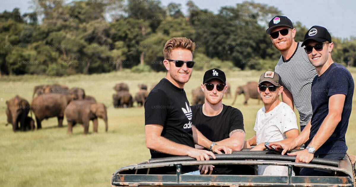 Yala-Nationalpark: Private Safari mit Naturforscher