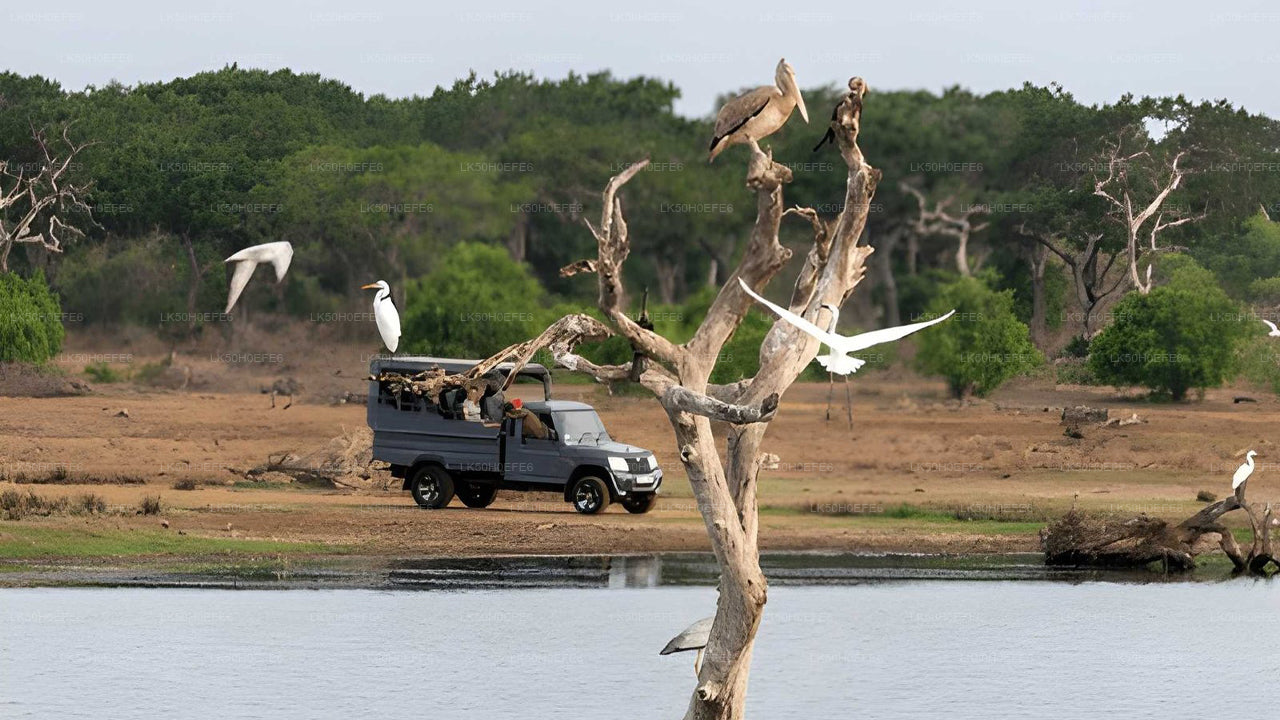 Private Safari im Bundala-Nationalpark