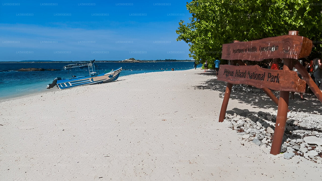 Schnorcheln auf Pigeon Island von Trincomalee