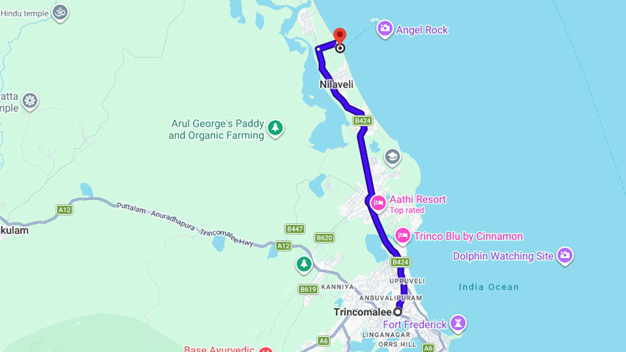 Schnorcheln auf Coral Island von Trincomalee aus