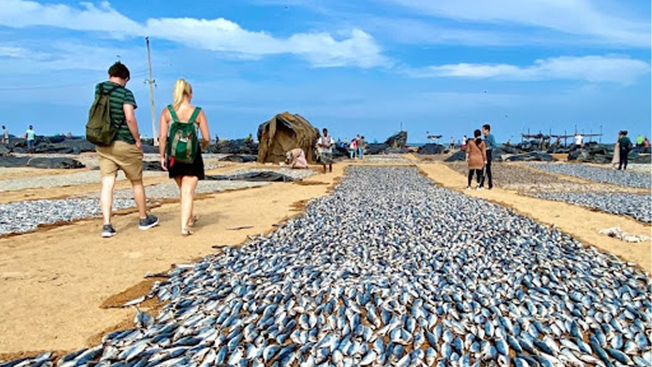 Negombo Stadtrundfahrt ab Colombo