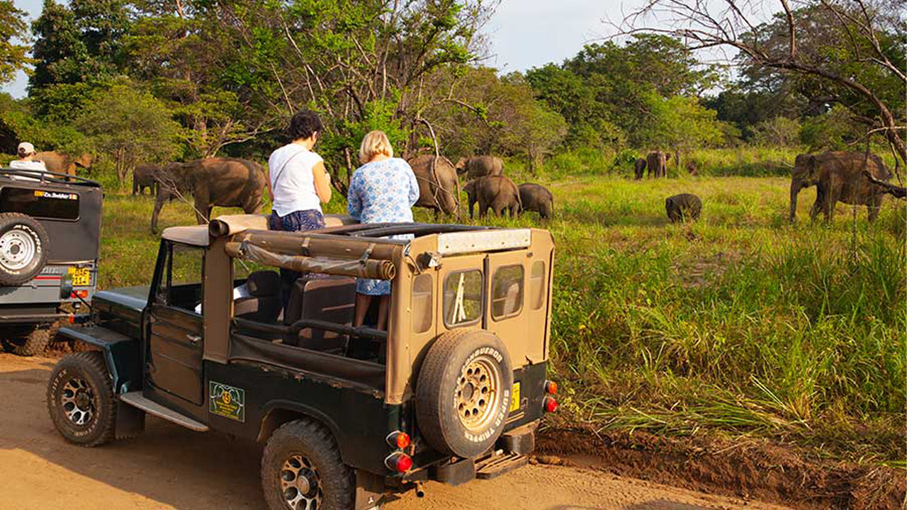 Tagesausflug zur Hurulu Eco Park Safari ab Pasikuda
