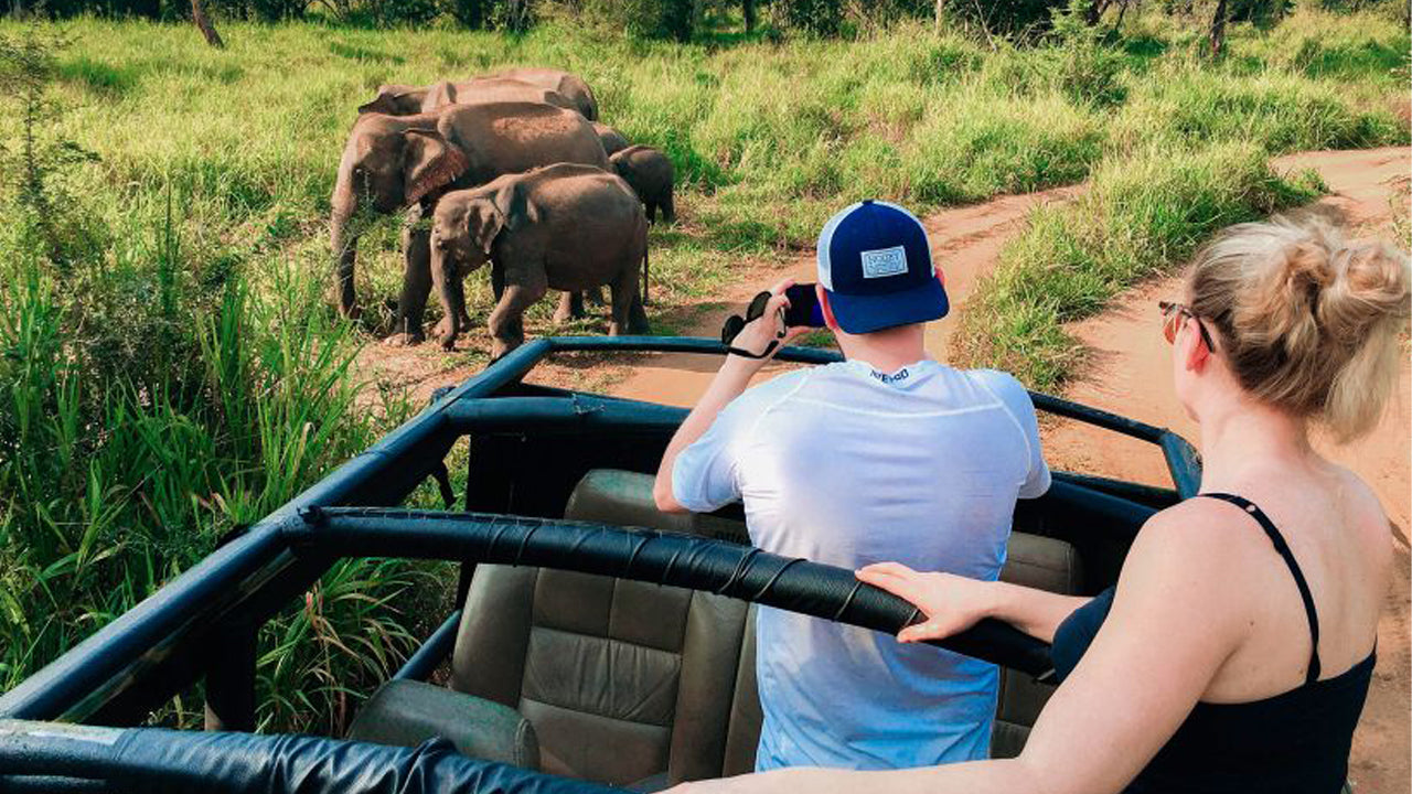 Tagesausflug zur Hurulu Eco Park Safari ab Pasikuda