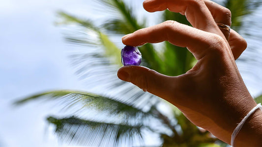 Landwirtschaft, Edelsteinmine und Dorferlebnis in Sri Lanka Von Ceylon 1850