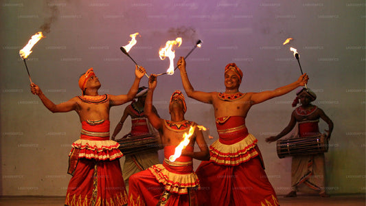 Feuertanz-Erlebnis ab Negombo