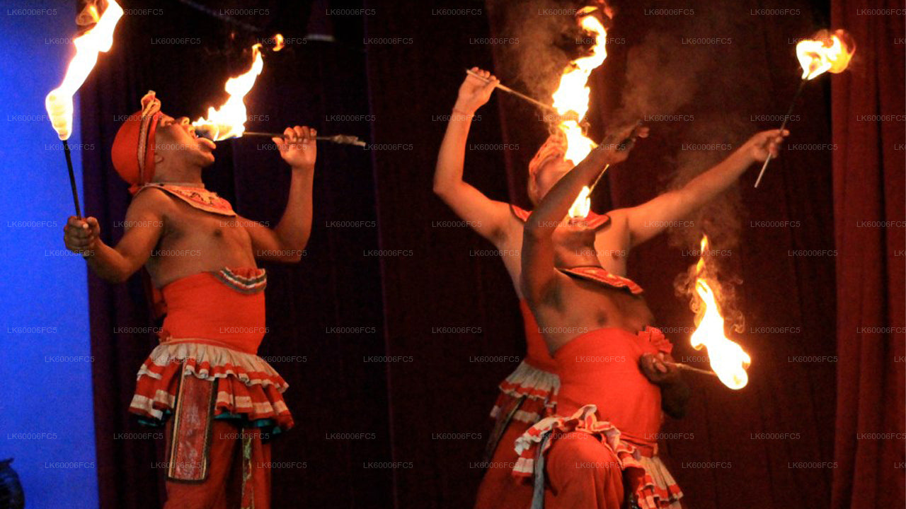 Feuertanz-Erlebnis ab Negombo