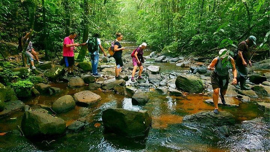 Tagesausflug in den Sinharaja-Regenwald ab Ahangama