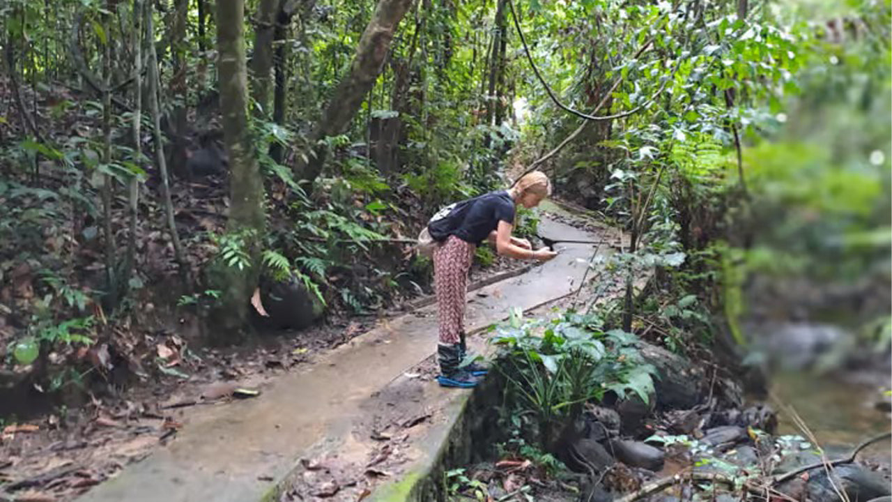 Tagesausflug in den Sinharaja-Regenwald ab Ahangama