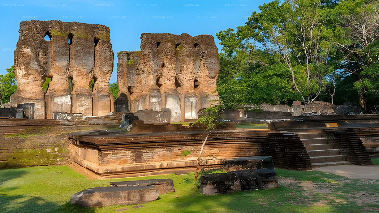 Polonnaruwa Heritage und Hurulu Eco Park Safari ab Pasikuda