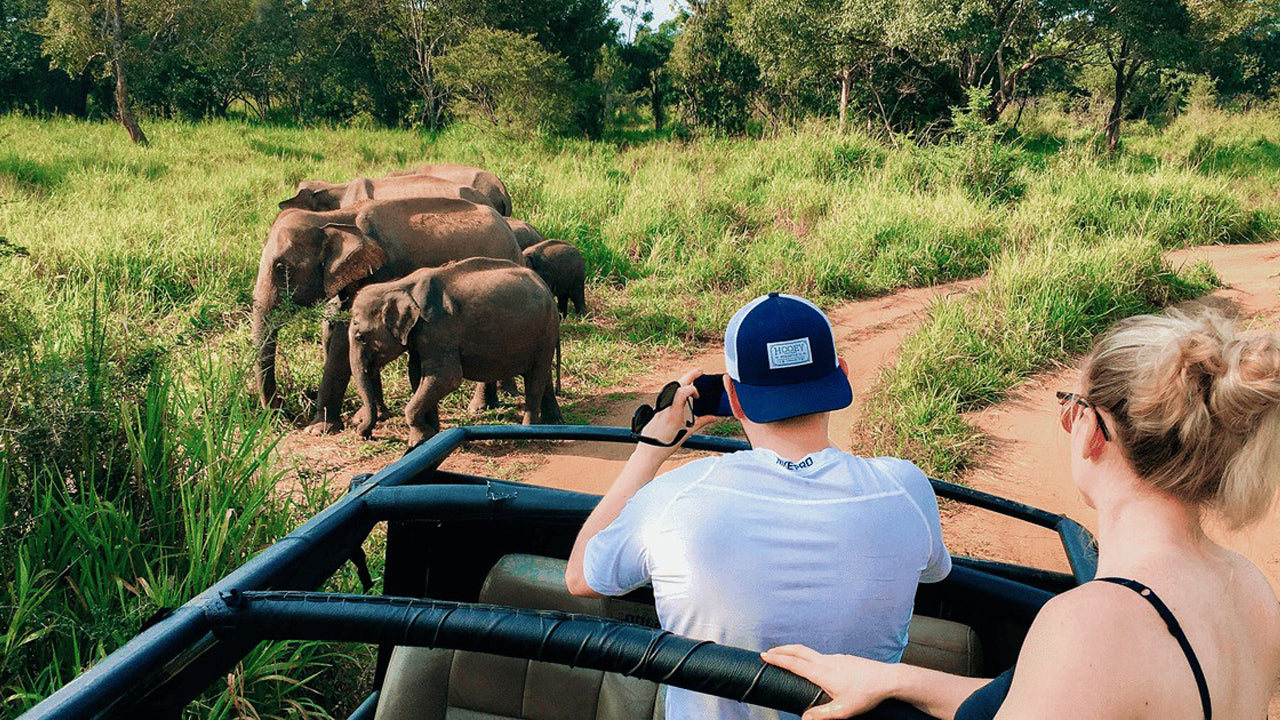 Polonnaruwa Heritage und Hurulu Eco Park Safari ab Pasikuda