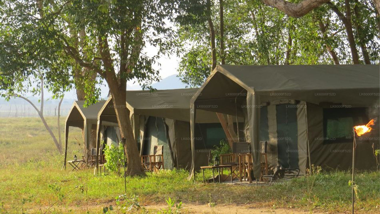 Camping-Erlebnis in Gal Oya (3 Tage)
