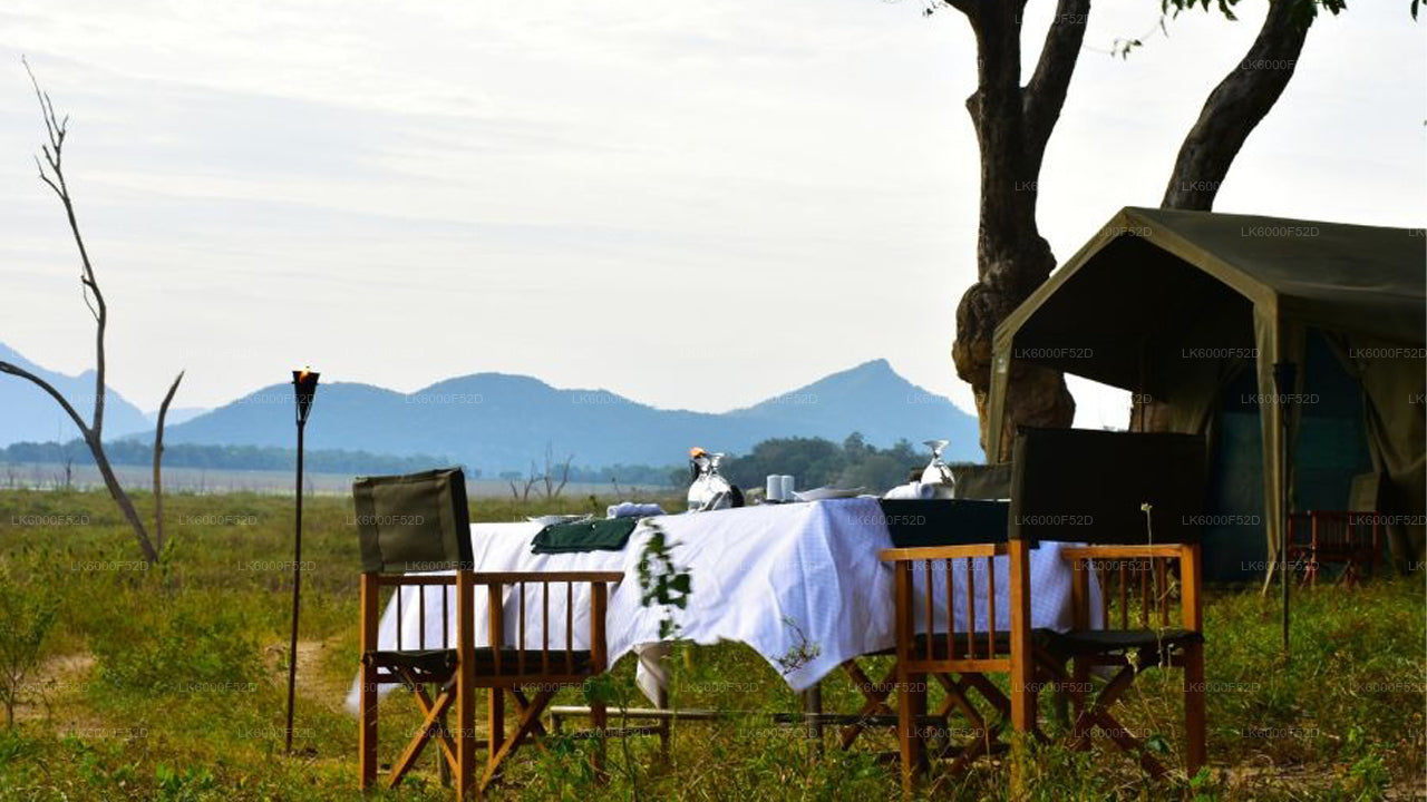 Camping-Erlebnis in Gal Oya (3 Tage)