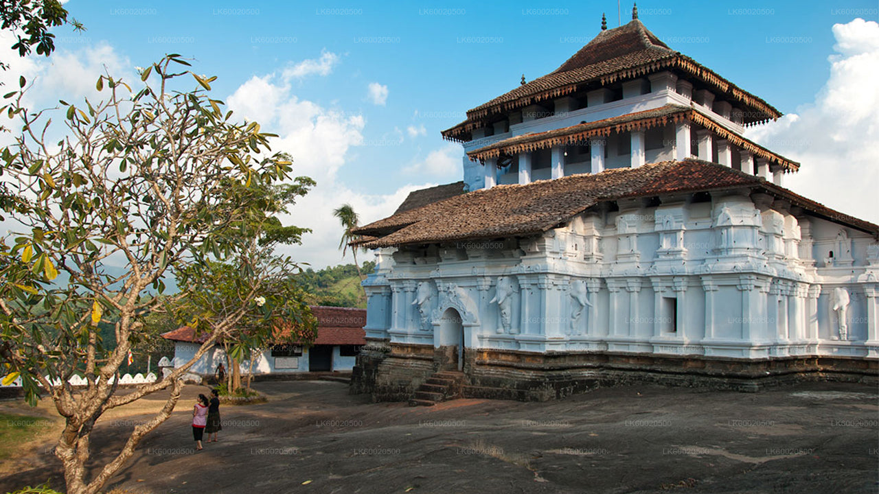 Traditional building with white walls and brown roof tiles, surrounded by trees and a clear sky.