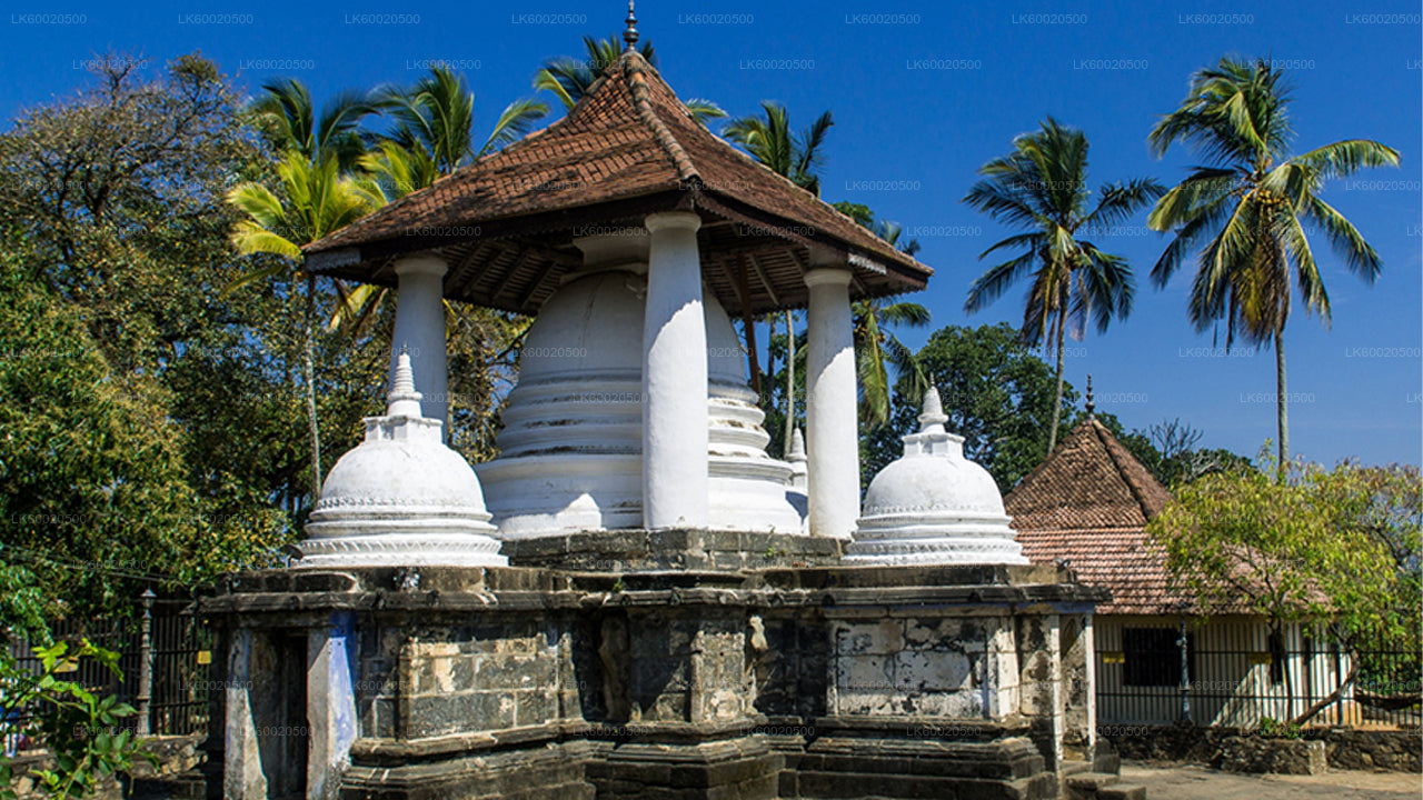 Temple Run Tour ab Kandy