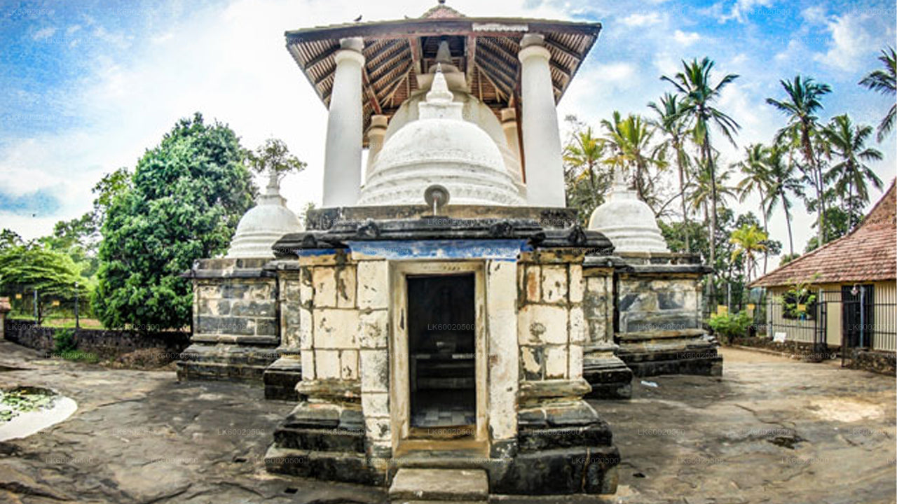 Temple Run Tour ab Kandy