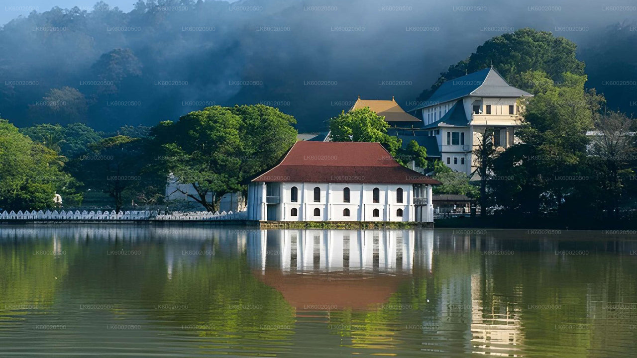 Traditional building with a red roof reflected in a calm lake surrounded by greenery