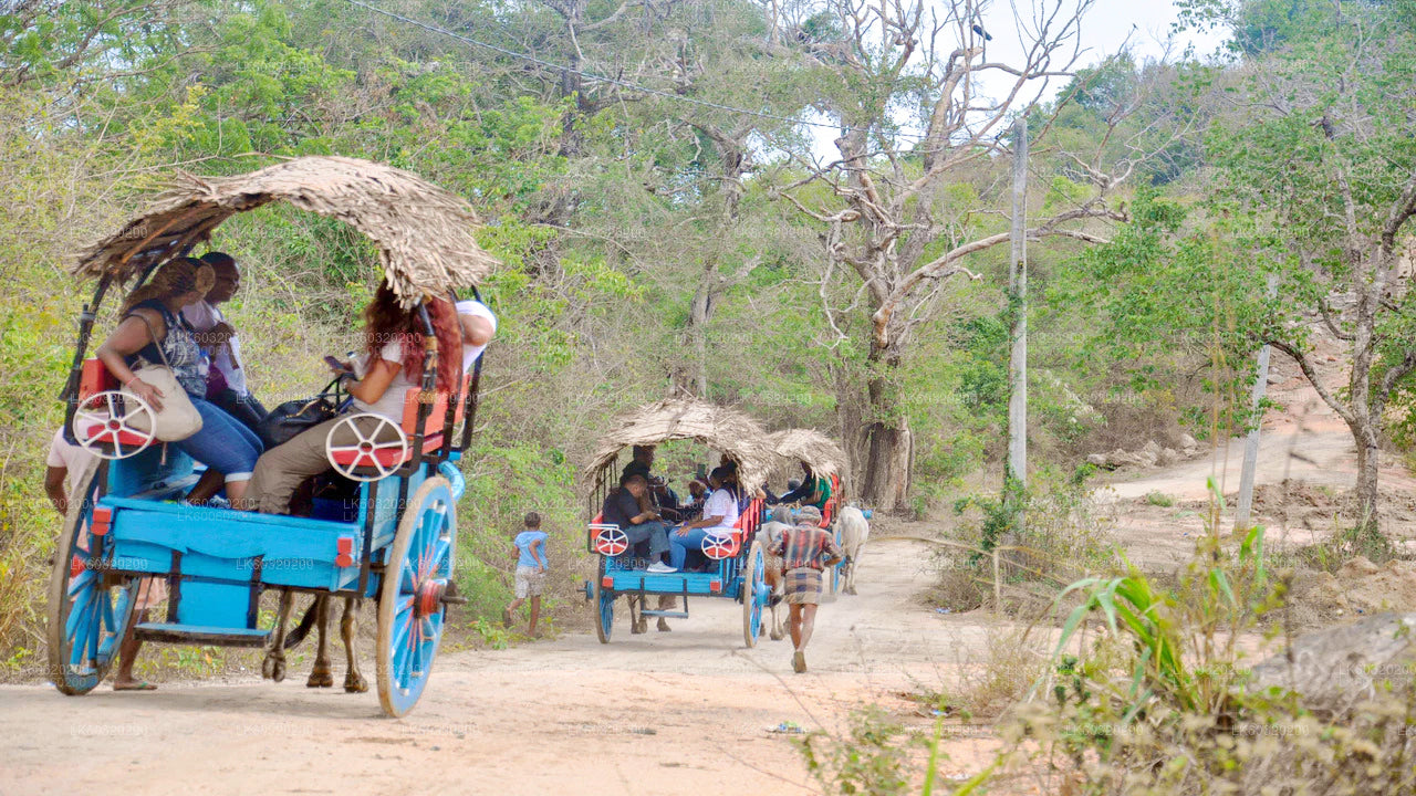 Sigiriya Rock- und Wildelefant-Safari ab Dambulla