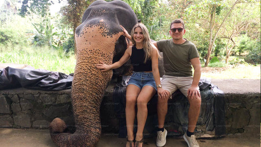 Millennium Elephant Foundation aus Ahungalla