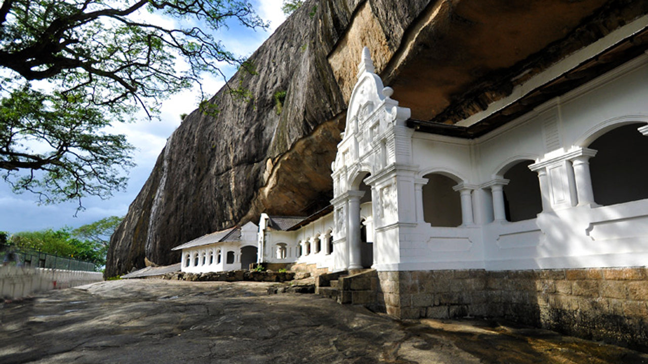 Sigiriya-Felsen, Dambulla und Wildelefanten-Safari ab Colombo