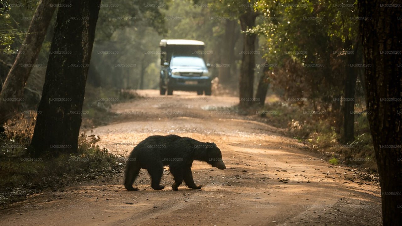 Yala-Nationalpark-Safari ab Unawatuna