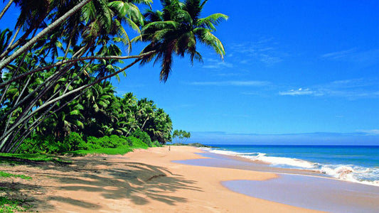 Küstenfahrt von Panadura nach Galle