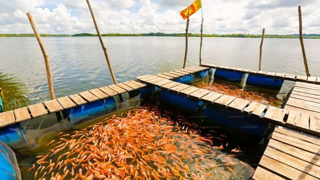 Küstenfahrt von Wadduwa nach Galle