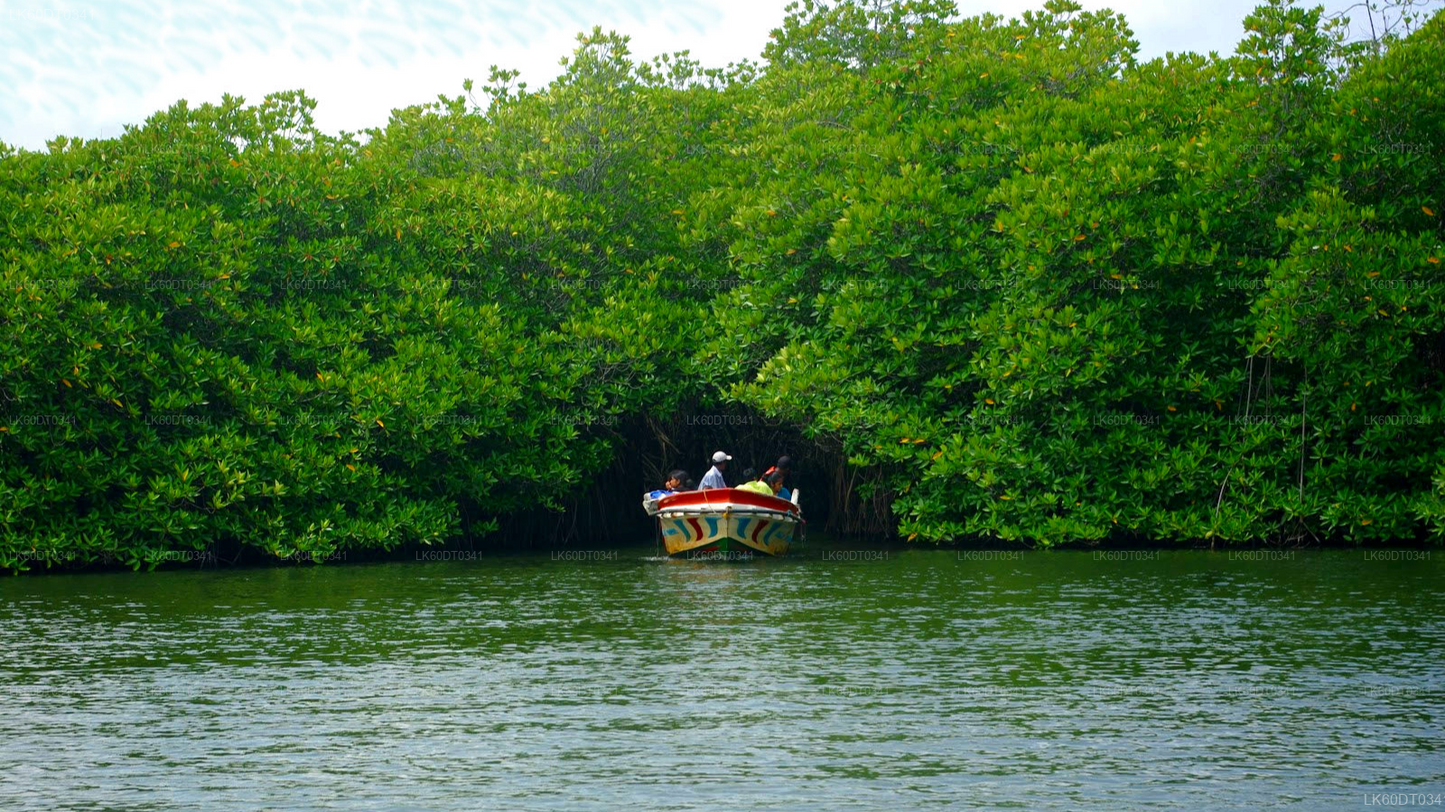 Coastal Transfer from Mirissa to Colombo with Sightseeing Stops