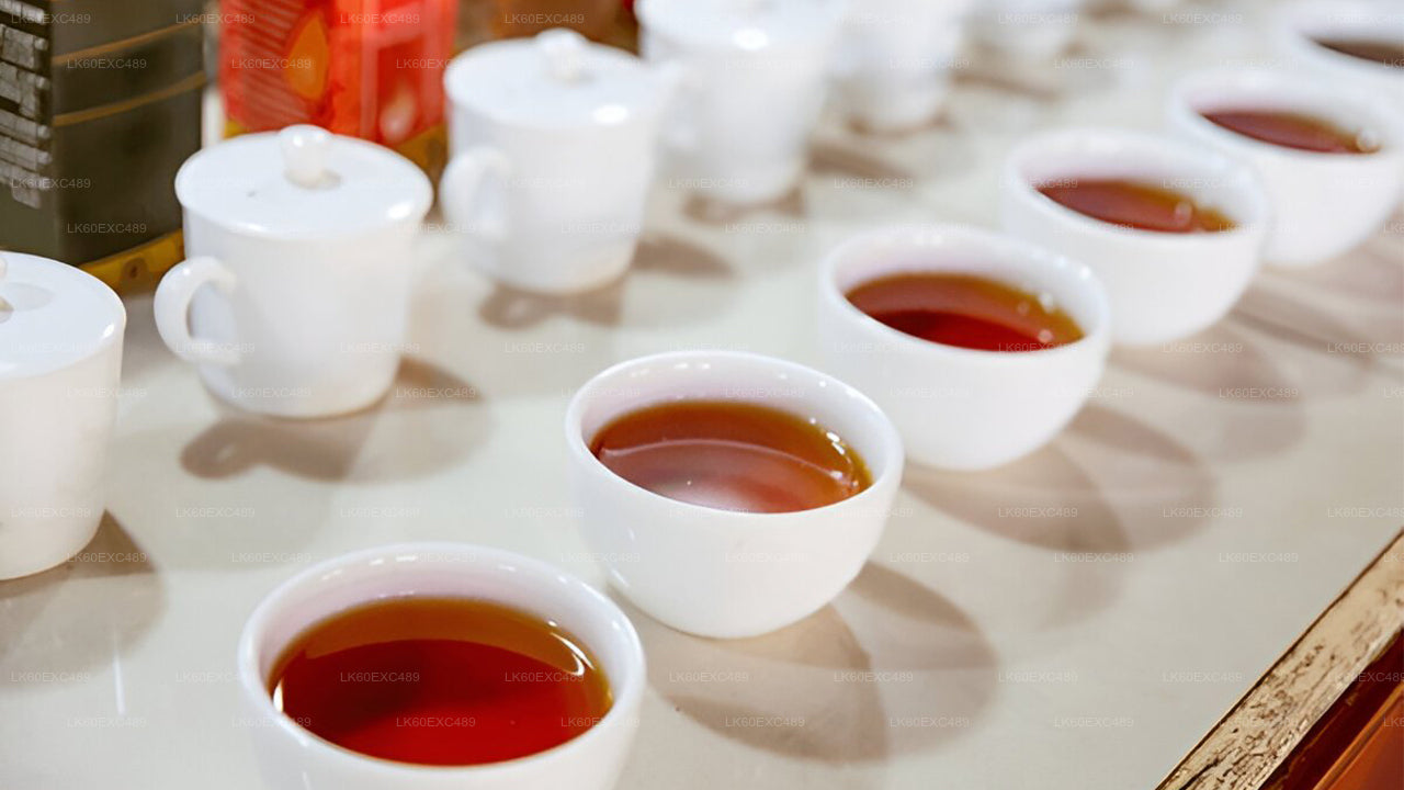 Besuch einer Fabrik für niedrig angebauten Tee und Teeverkostung ab Galle