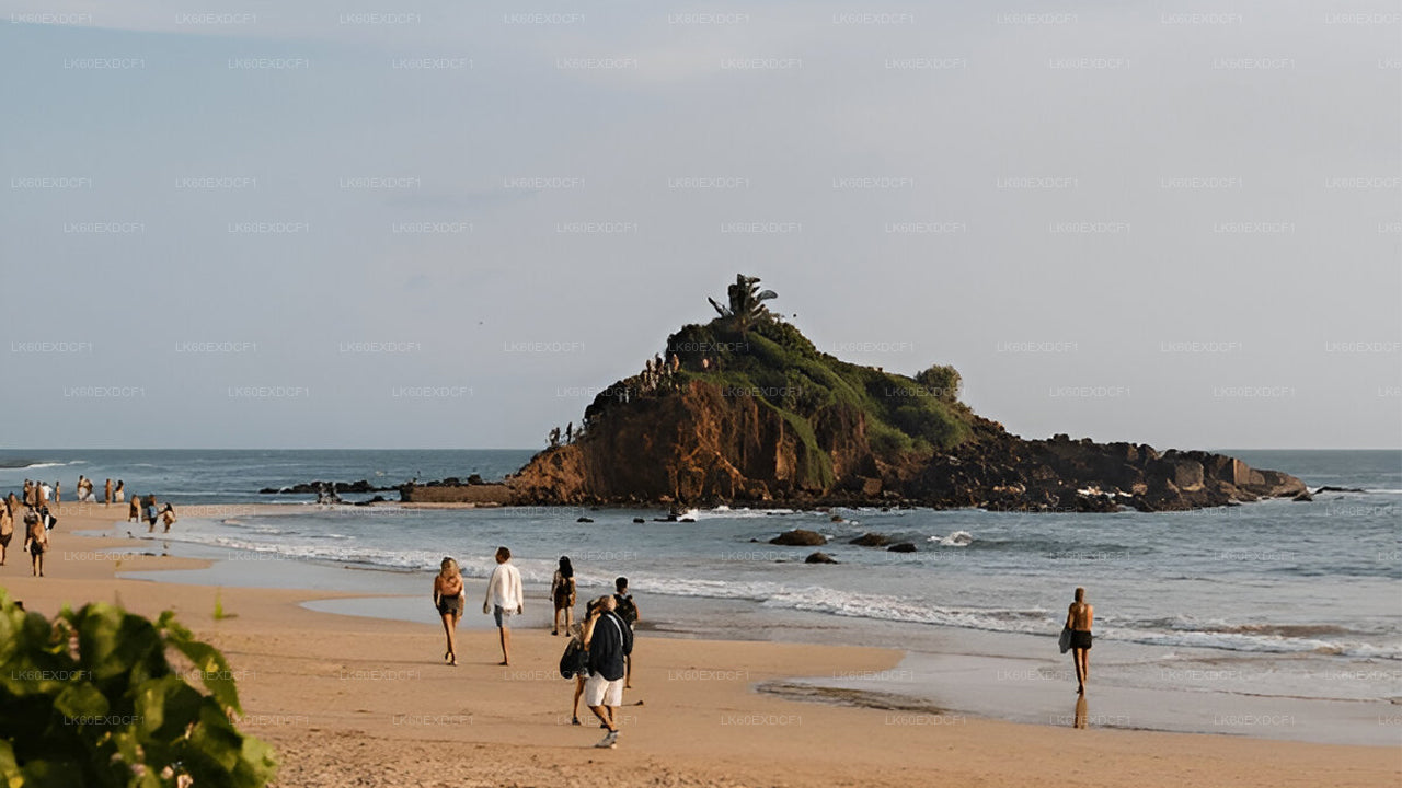 Private Tour von Ella nach Mirissa mit Udawalawe Safari