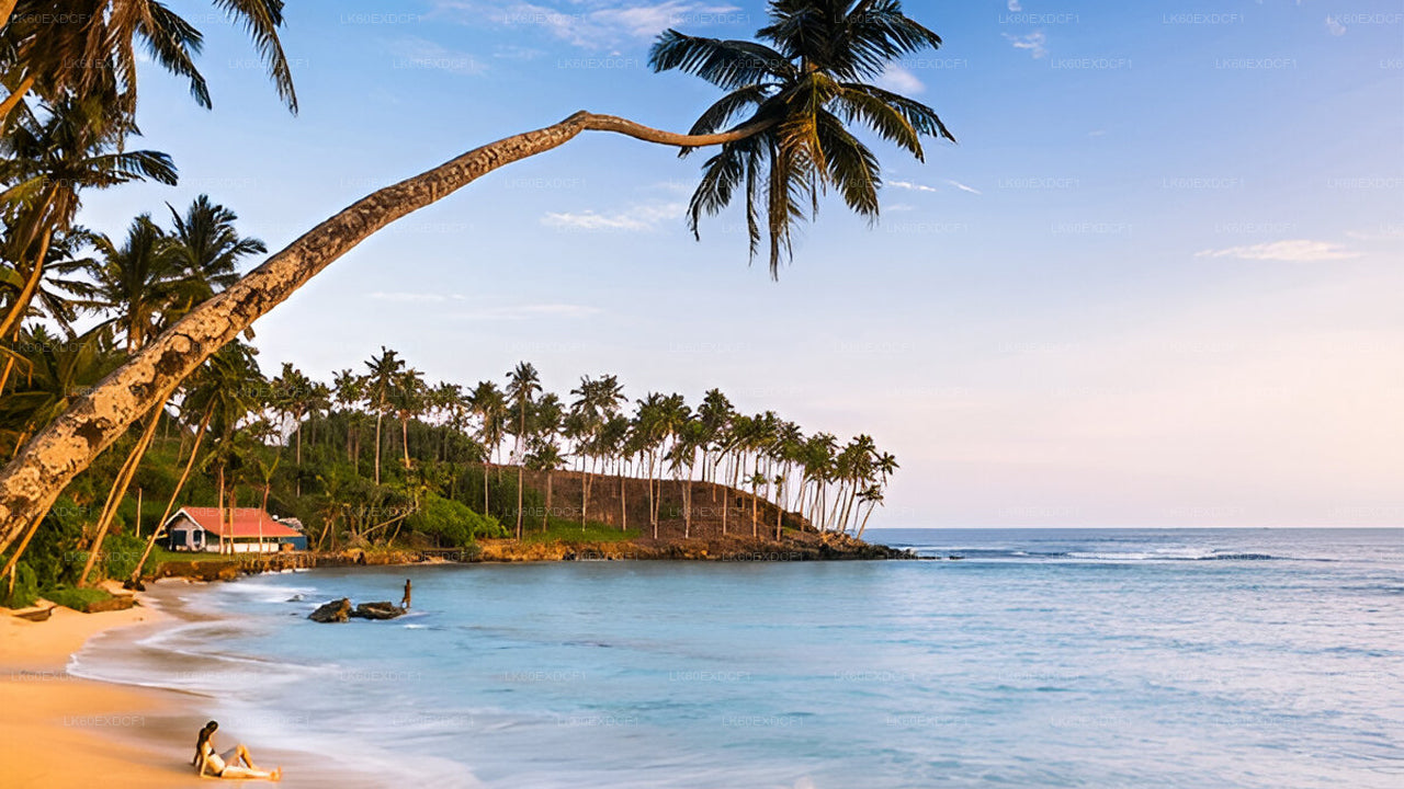 Private Tour von Ella nach Mirissa mit Udawalawe Safari