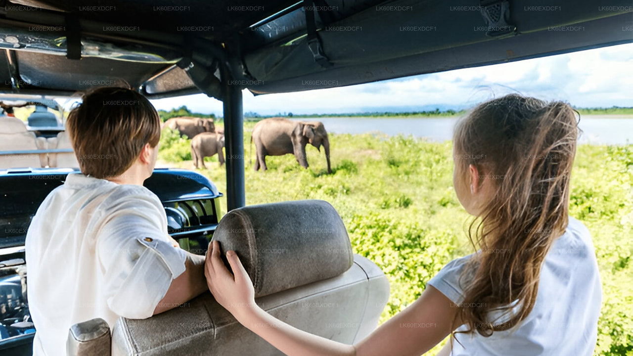 Private Tour von Ella nach Mirissa mit Udawalawe Safari