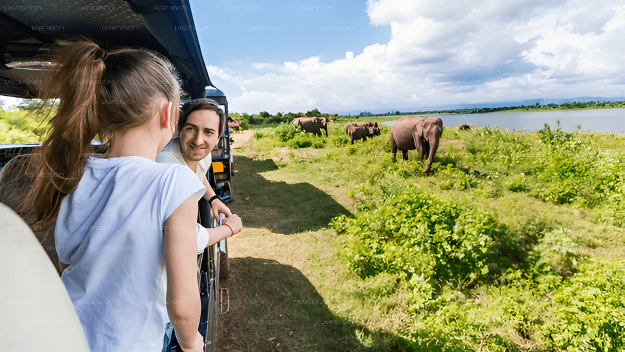 Private Tour von Ella nach Mirissa mit Udawalawe Safari