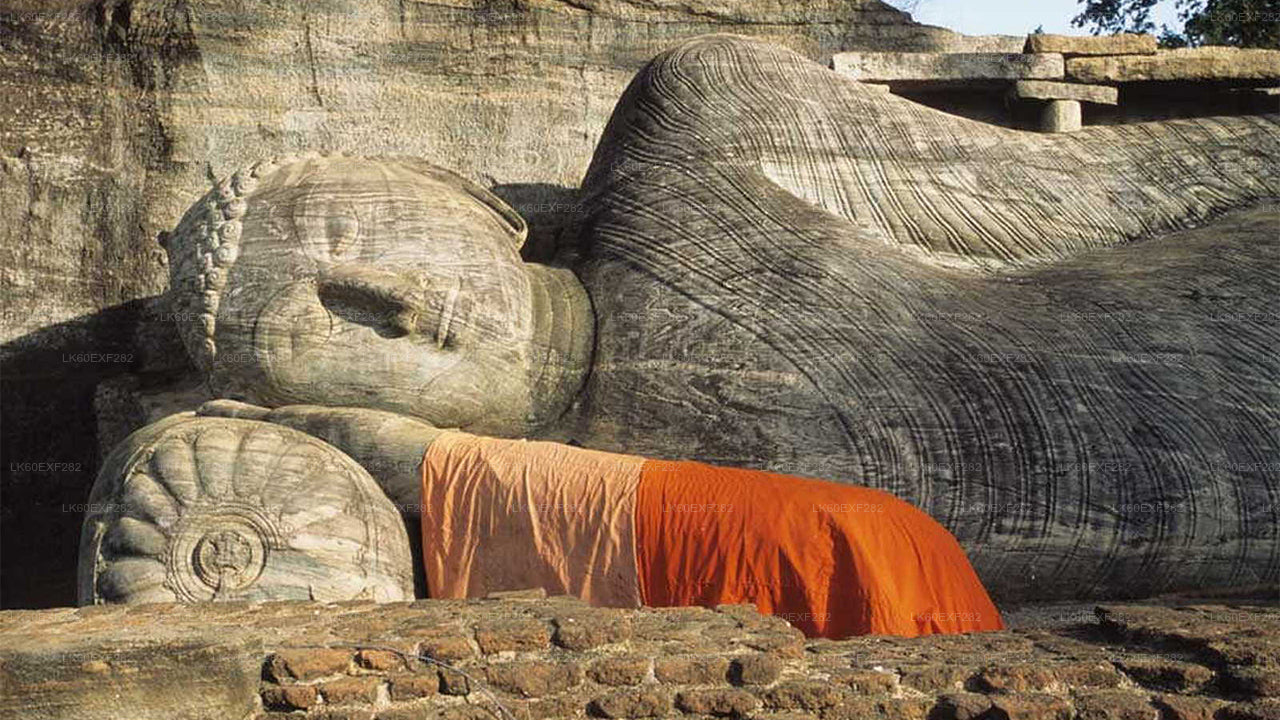 Privater Transfer von Sigiriya nach Pasikudah mit Tour durch die antike Stadt Polonnaruwa