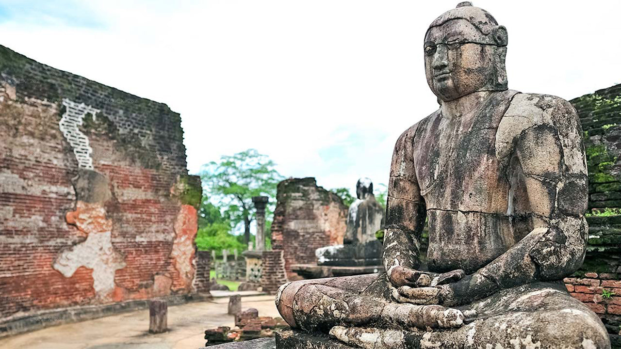 Privater Transfer von Sigiriya nach Pasikudah mit Tour durch die antike Stadt Polonnaruwa