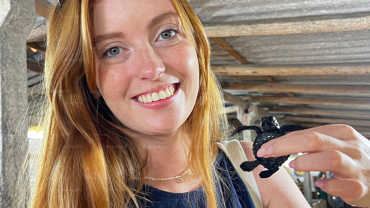 Entdecken Sie die verborgenen Schätze von Galle und speisen Sie mit Einheimischen.