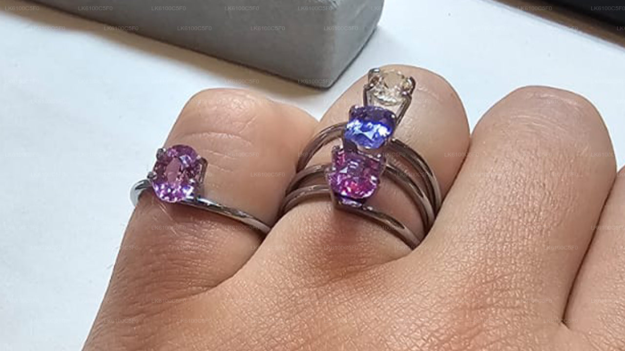 Entdecken Sie die verborgenen Schätze von Galle und speisen Sie mit Einheimischen.