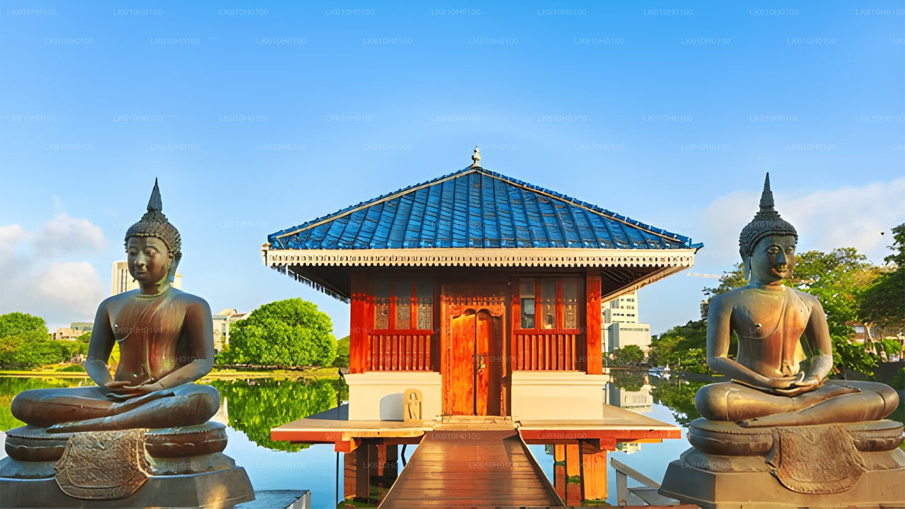 Stadtrundfahrt durch Colombo vom Hafen von Colombo