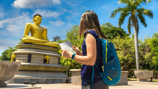 Stadtrundfahrt durch Colombo vom Hafen von Colombo